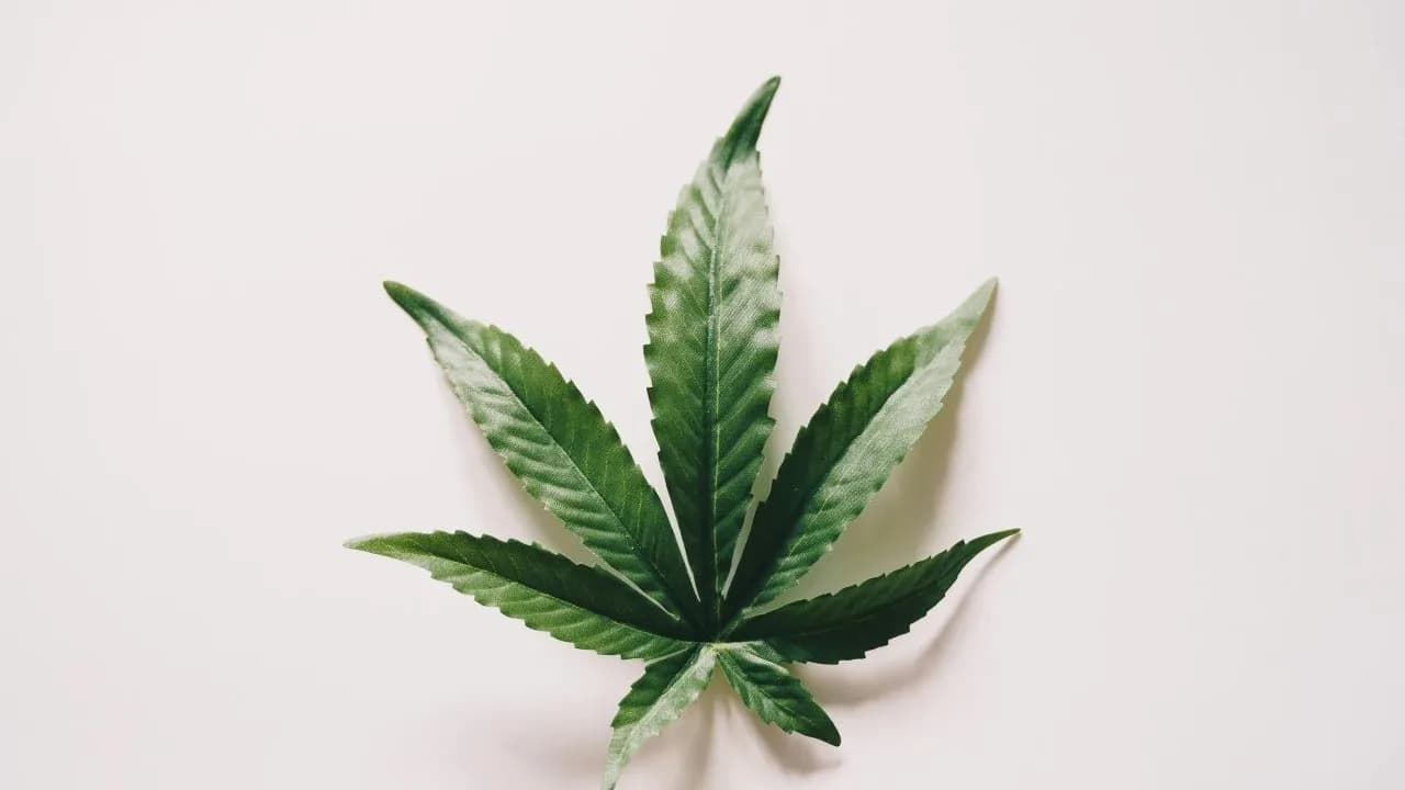 Little Green Pharma (ASX: LGP) and Cannatrek announce merger to create $112 million cannabis giant