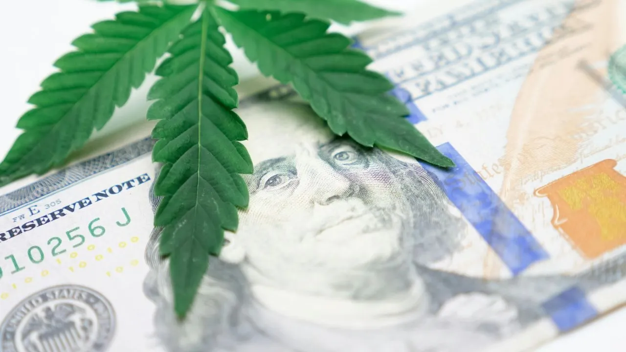 Cannabis on American money